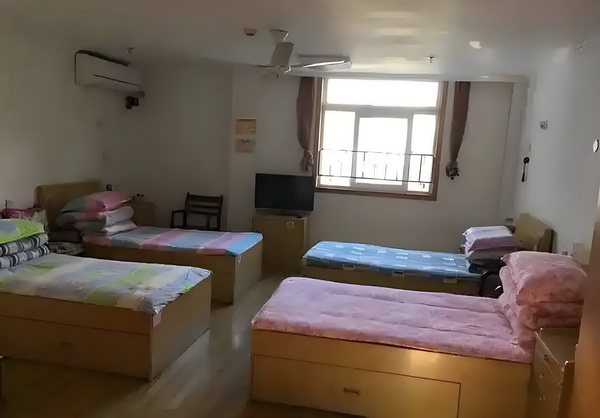 本科生深圳落户政策_佟丽娅儿子正脸曝光，五官气质超像爸爸 佟丽娅儿是刘某孩子父亲